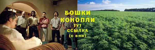 прущие крисы Вязники